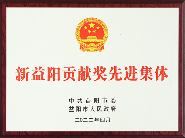 新益陽(yáng)貢獻(xiàn)獎(jiǎng)先進(jìn)集體2022年